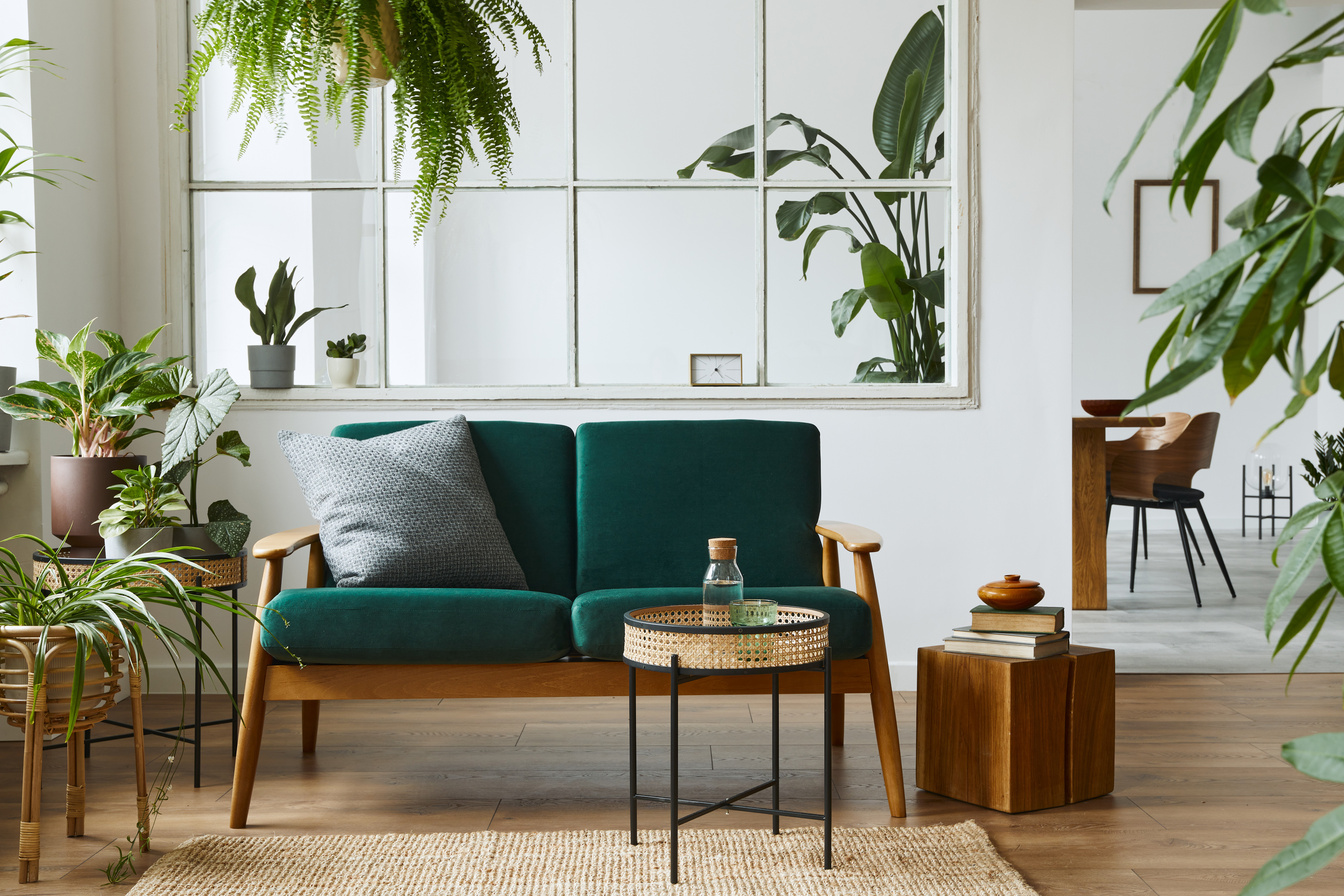 Stylish scandinavian living room interior with green velvet sofa, coffee table, carpet, plants, furniture, elegant accessories in modern home decor. Template.